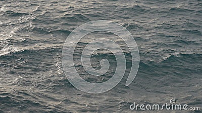 blue water sea surface with soft summer light closeup Stock Photo