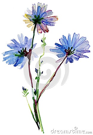 Blue watercolor flowers Stock Photo