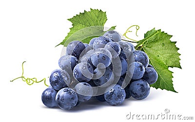 Blue wet grapes bunch on white background Stock Photo