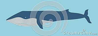 Blue Whale Vector Illustration