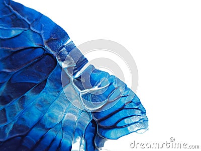Blue and white acrylic painting texture on white paper background by using rorschach inkblot method. Stock Photo