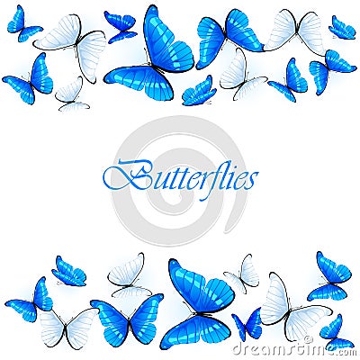 Blue and white butterflies Vector Illustration