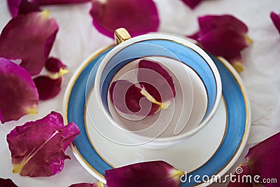 Blue and white tea cup with rose petals Stock Photo