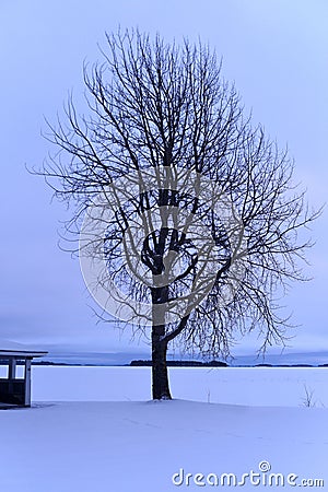 Blue winter moment by a snowy lake in Finland Stock Photo