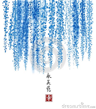 Blue Wisteria hand drawn with ink on white background. Contains hieroglyph - happiness, eternity, beauty, flower Vector Illustration