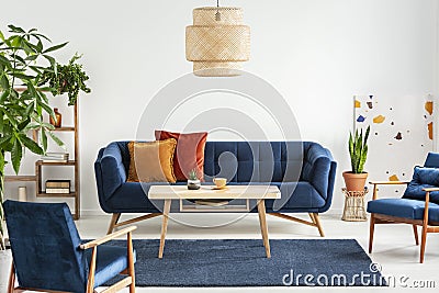 Blue wooden armchairs and couch in living room interior with plants and lamp above table. Real photo Stock Photo