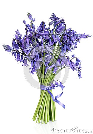 Bluebell Flower Posy Stock Photo