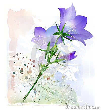 Bluebell. Vector Illustration