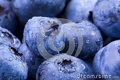 Blueberries Stock Photo