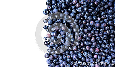 blueberries as nice background Stock Photo