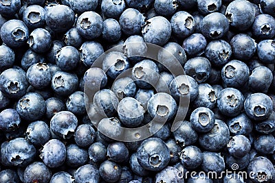 Blueberries Stock Photo