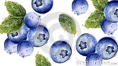 Blueberries background Vector watercolor. Summer delicious fruits cards Vector Illustration