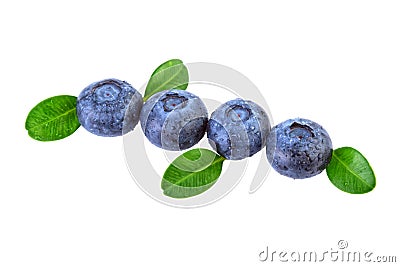 Blueberries Diagonal Composition Stock Photo