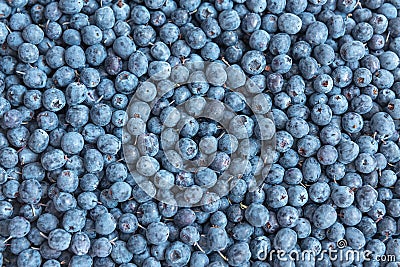 Blueberries , food background Stock Photo