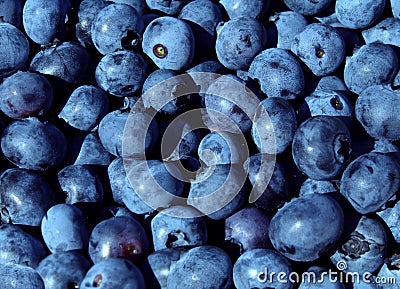 Blueberries fruit Stock Photo