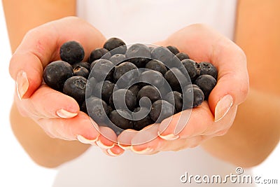Blueberries in the hands Stock Photo