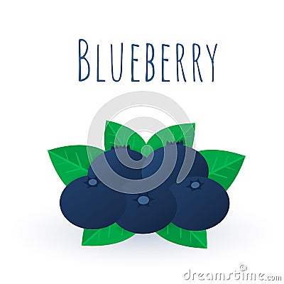 Blueberries with leaves isolated on white background. Blueberry flat icon Vector Illustration