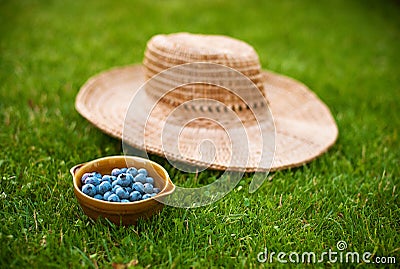 Blueberries Stock Photo