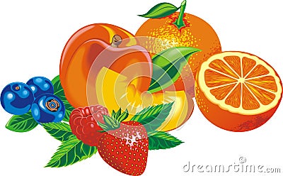 Blueberries, orange, peach, strawberry and other fruits Vector Illustration