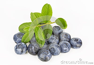 Blueberries with a sprig with leaves Stock Photo
