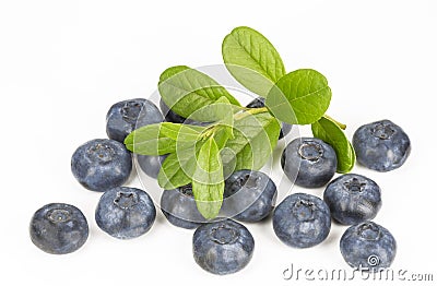 Blueberries with a sprig with leaves Stock Photo