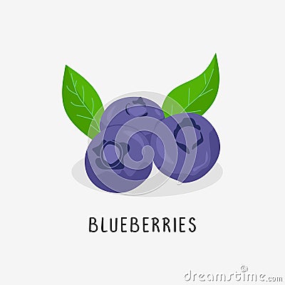 blueberries vector flat illustration, isolated on white background Vector Illustration