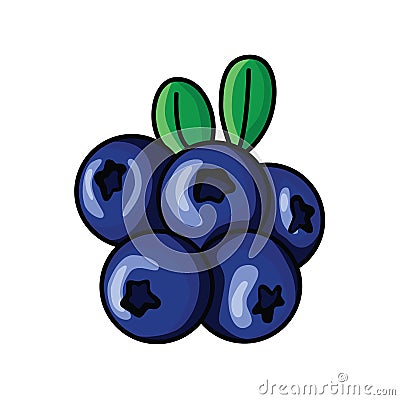 Blueberries Vector Illustration