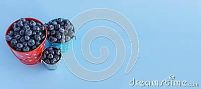 Fruits and vegetables, vitamin, healthy food and drink, gastronomy concept - layout banner purple blueberry berries in Stock Photo