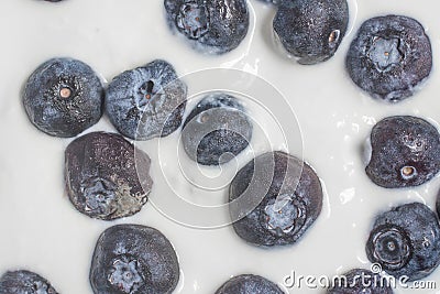Blueberries with yogurt Stock Photo
