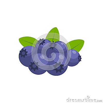 Blueberry Flat design vector illustration isolated on a white background Cartoon Illustration