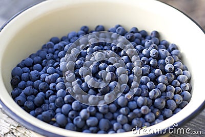 Blueberry Stock Photo