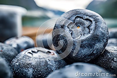 Blueberry antioxidants on a wooden table on a background of Norwegian nature Stock Photo