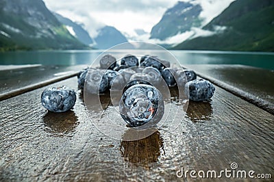 Blueberry antioxidants on a wooden table on a background of Norwegian nature Stock Photo