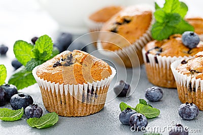 Blueberry banana muffins with fresh berries Stock Photo