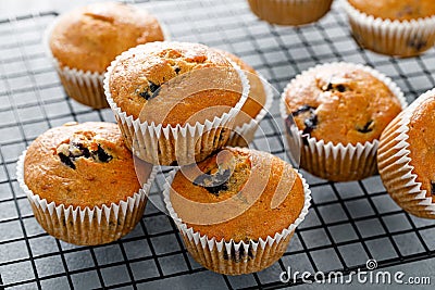 Blueberry banana muffins with fresh berries Stock Photo