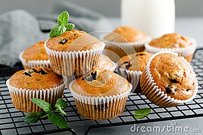 Blueberry banana muffins with fresh berries Stock Photo