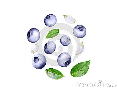 Blueberry berries, leaves and flowers flying swirl isolated on white Stock Photo