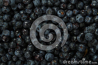 Blueberry berries scattered on a smooth turn. Stock Photo