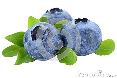 Blueberry blueberries berry berries fruit fruits leaves isolated Stock Photo