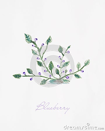 Blueberry bush with fruits watercolor drawing illustration Cartoon Illustration