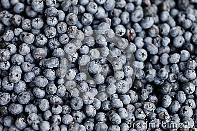 Blueberry closeup background Stock Photo