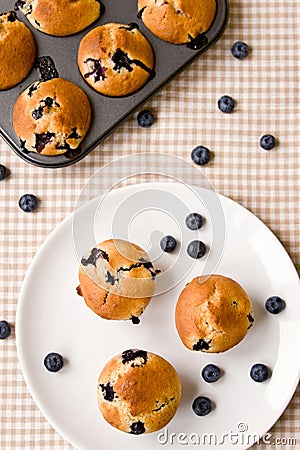Blueberry cupcakes Stock Photo