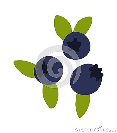Blueberry. Doodle bilberry. Vector huckleberry food icon Stock Photo