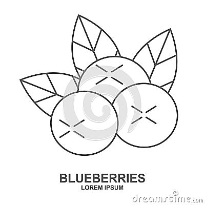 Blueberry flat line icon, forest berry sign, healthy food logo isolated on white background. Summer fruits for healthy lifestyle. Vector Illustration