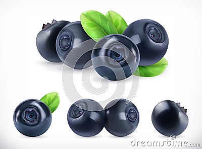 Blueberry. Forest berry. 3d vector icons set. Realistic illustration Vector Illustration