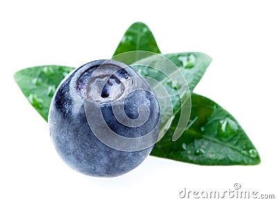 Blueberry. Fresh berry isolated on white Stock Photo