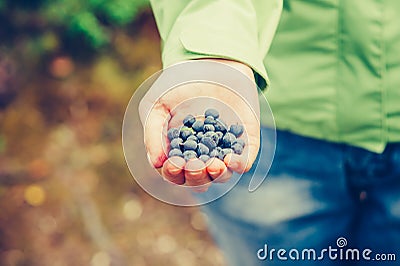 Blueberry fresh picked organic food in woman hand Stock Photo