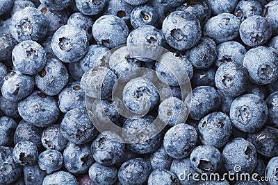 Blueberry or great bilberry with water droplets for kitchen poster. Natural and organic superfood. Stock Photo