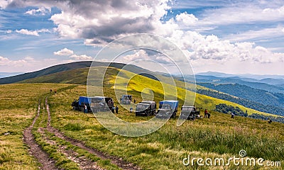 Blueberry harvesting in Carpathian mountains Editorial Stock Photo