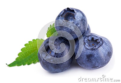 Blueberry Stock Photo